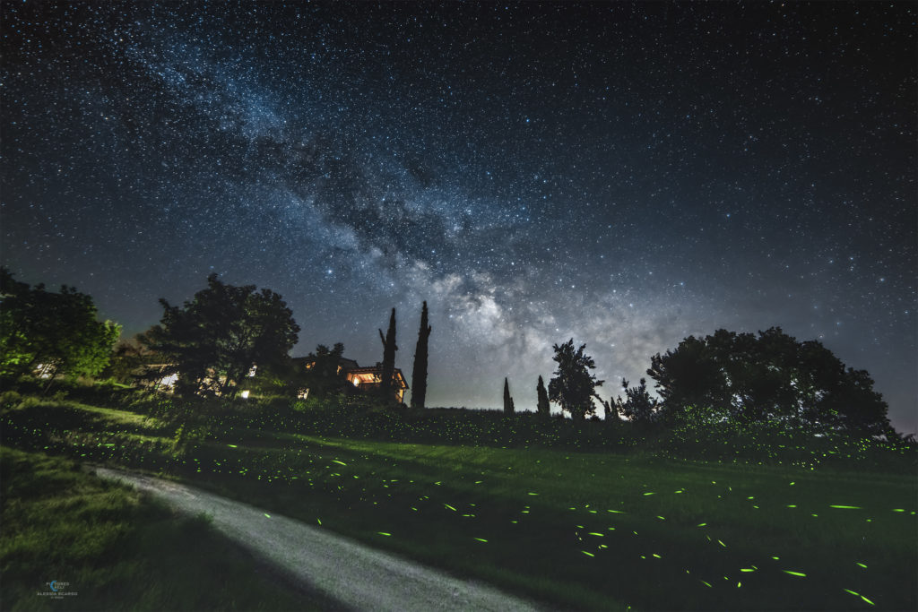 Astrofotografa Alessia Scarso astrofotografia lucciole su paesaggio notturno sotto la via lattea casale umbria